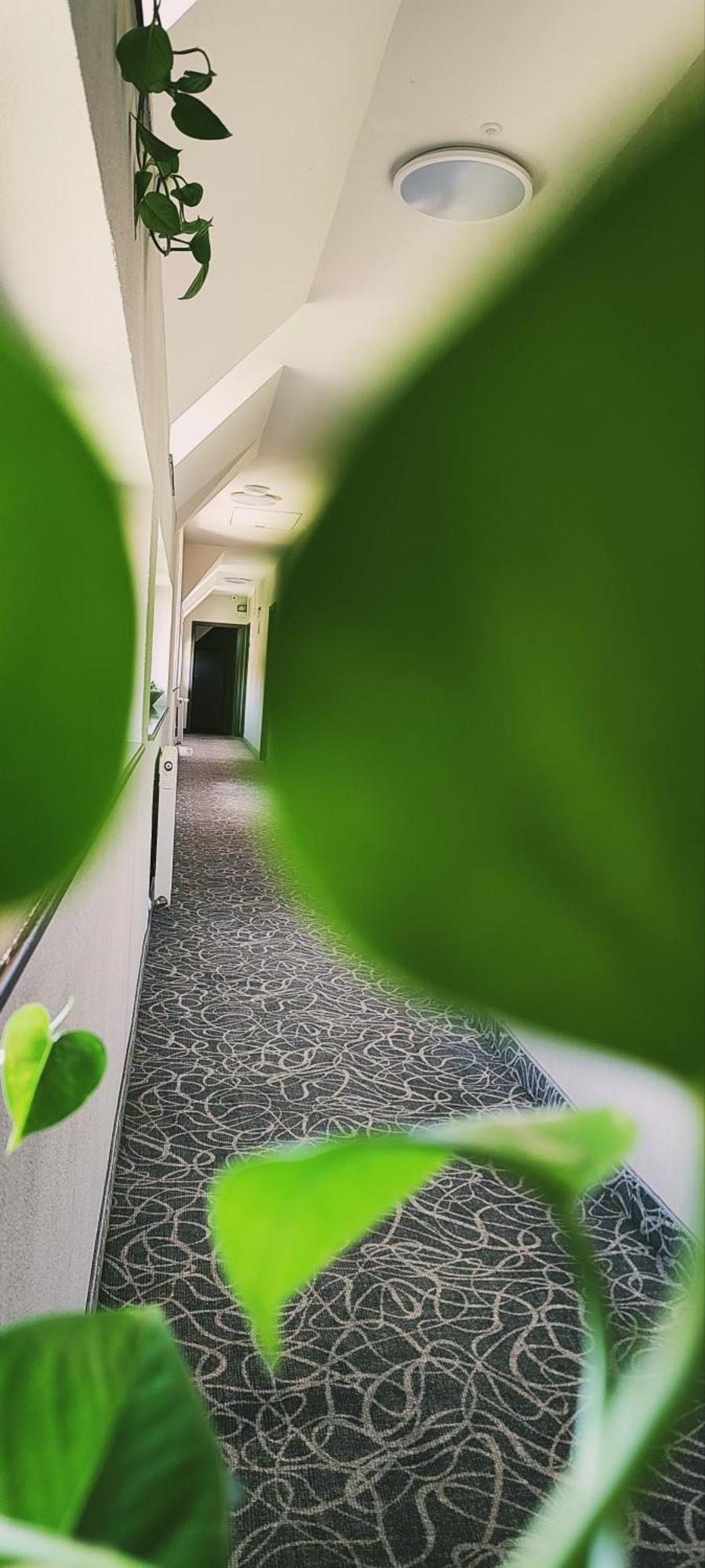 Pensiunea Luceafarul Sibiu Exterior foto